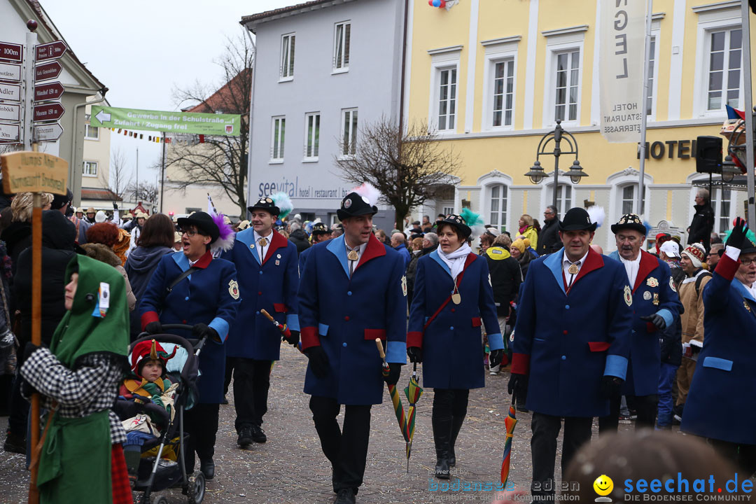 Narrensprung: Langenargen am Bodensee, 19.01.2014