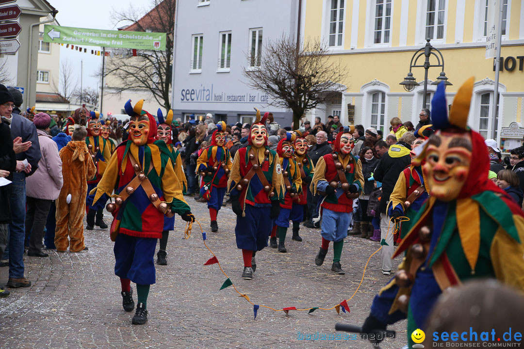 Narrensprung: Langenargen am Bodensee, 19.01.2014