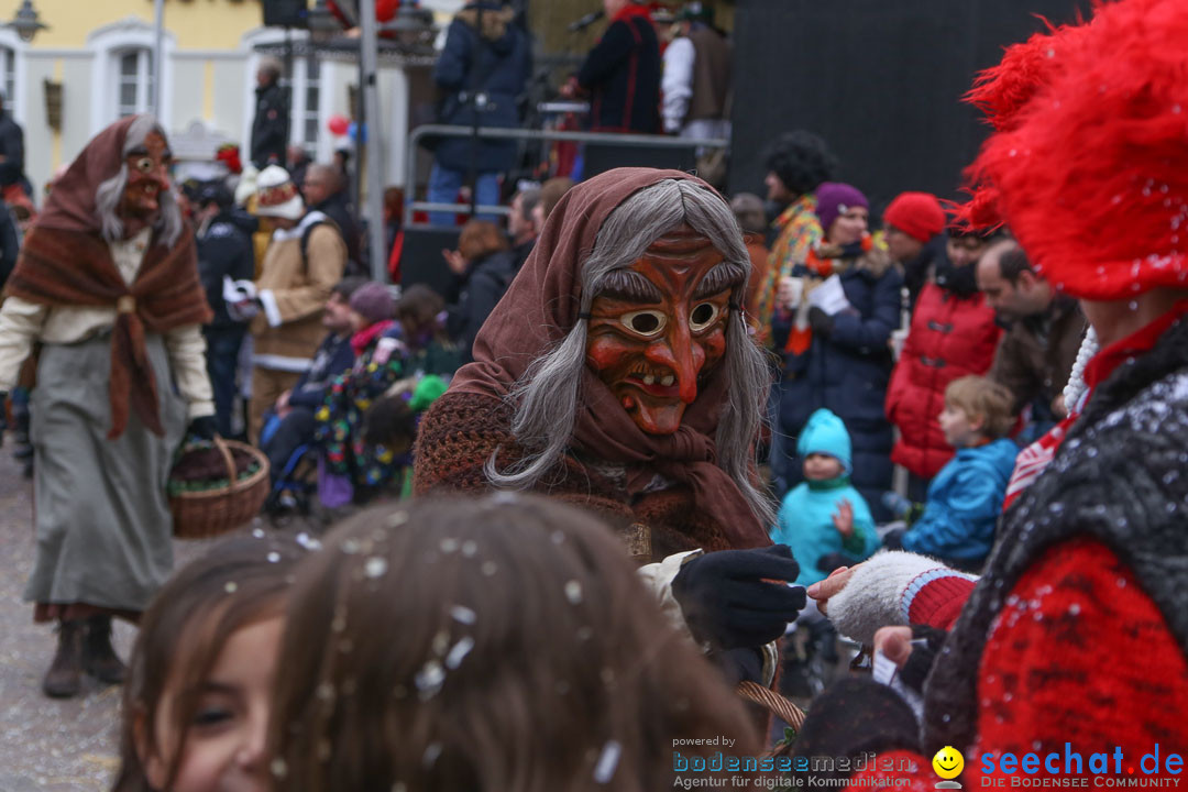 Narrensprung: Langenargen am Bodensee, 19.01.2014