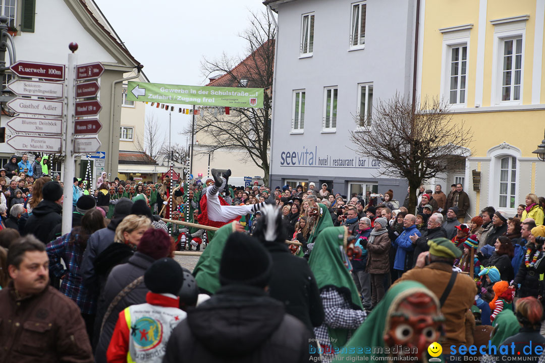 Narrensprung: Langenargen am Bodensee, 19.01.2014