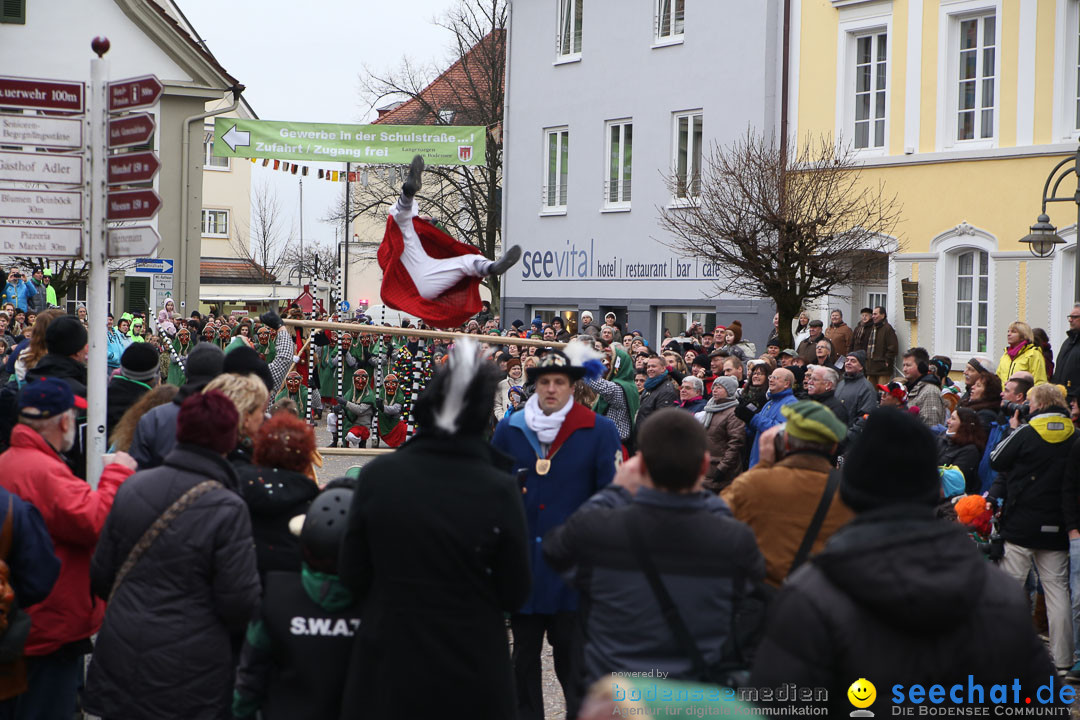 Narrensprung: Langenargen am Bodensee, 19.01.2014