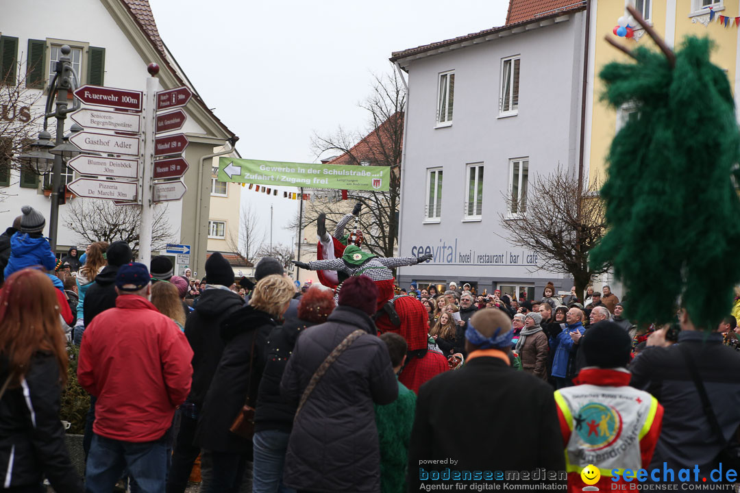 Narrensprung: Langenargen am Bodensee, 19.01.2014