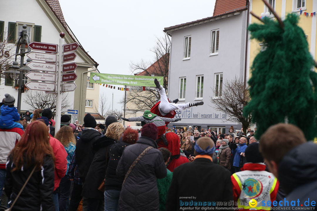 Narrensprung: Langenargen am Bodensee, 19.01.2014