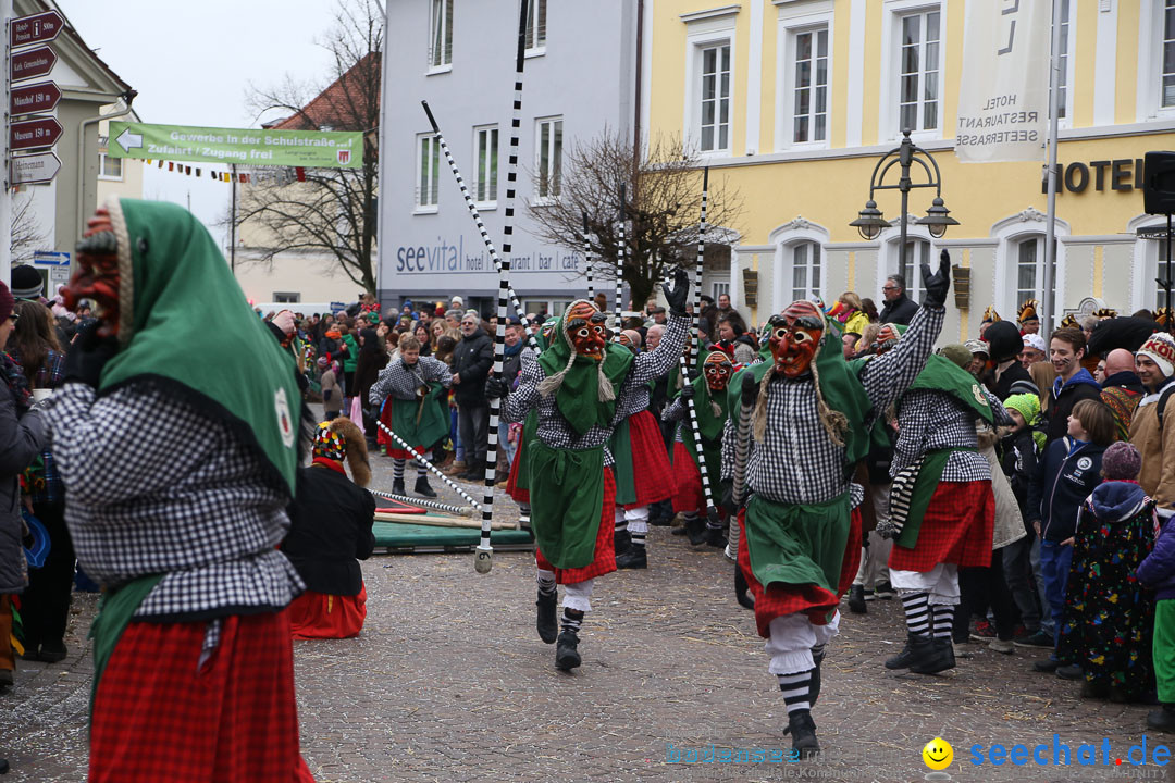 Narrensprung: Langenargen am Bodensee, 19.01.2014