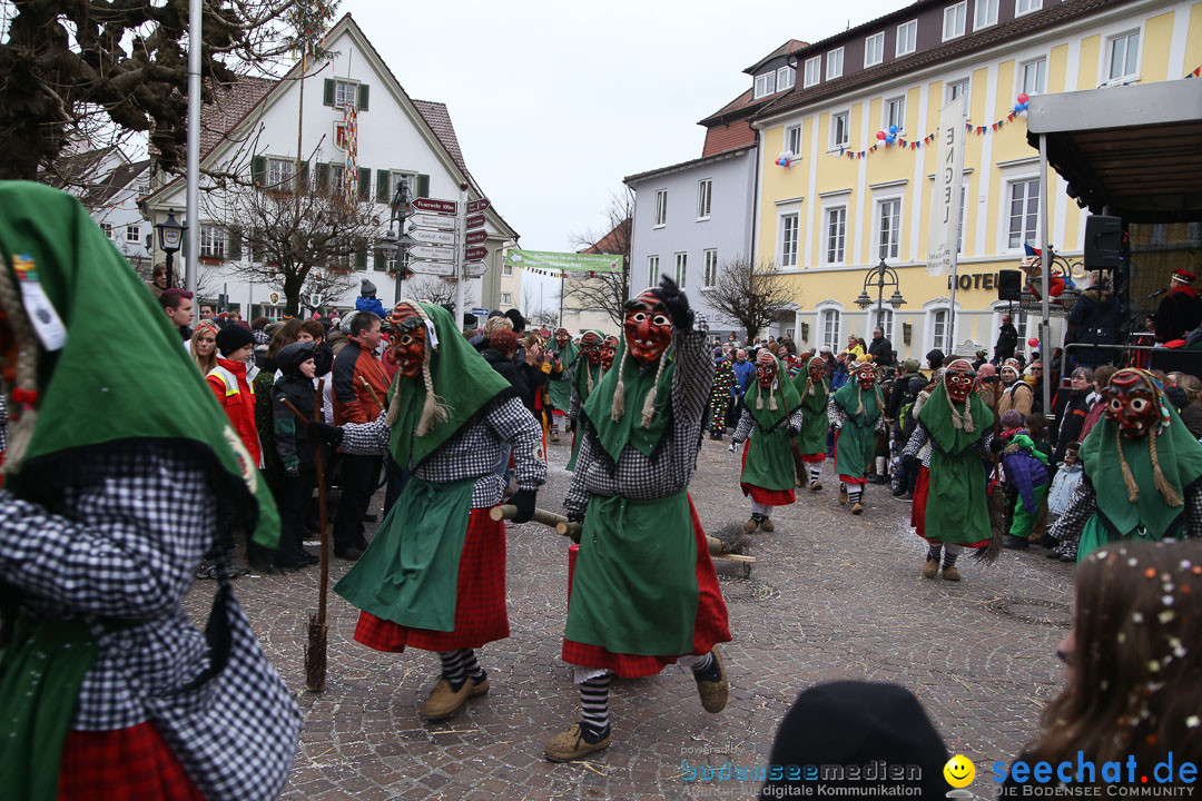 Narrensprung: Langenargen am Bodensee, 19.01.2014