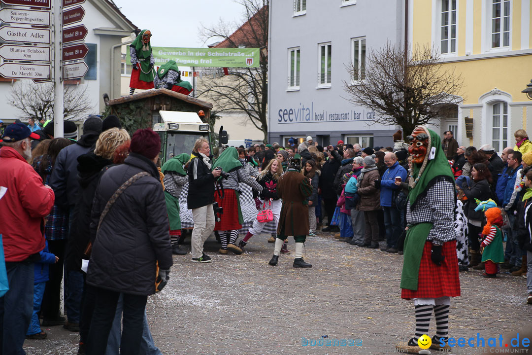 Narrensprung: Langenargen am Bodensee, 19.01.2014