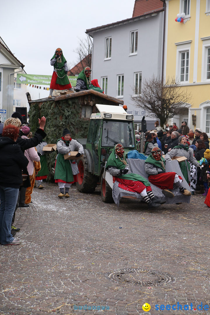 Narrensprung: Langenargen am Bodensee, 19.01.2014