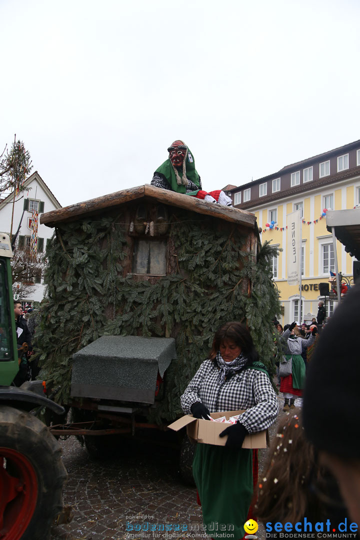 Narrensprung: Langenargen am Bodensee, 19.01.2014