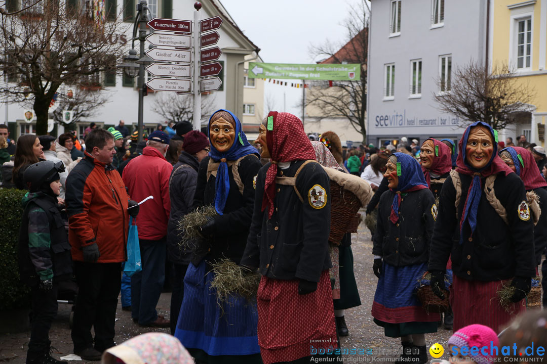 Narrensprung: Langenargen am Bodensee, 19.01.2014