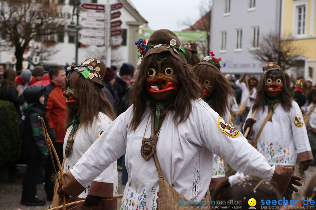 Narrensprung: Langenargen am Bodensee, 19.01.2014