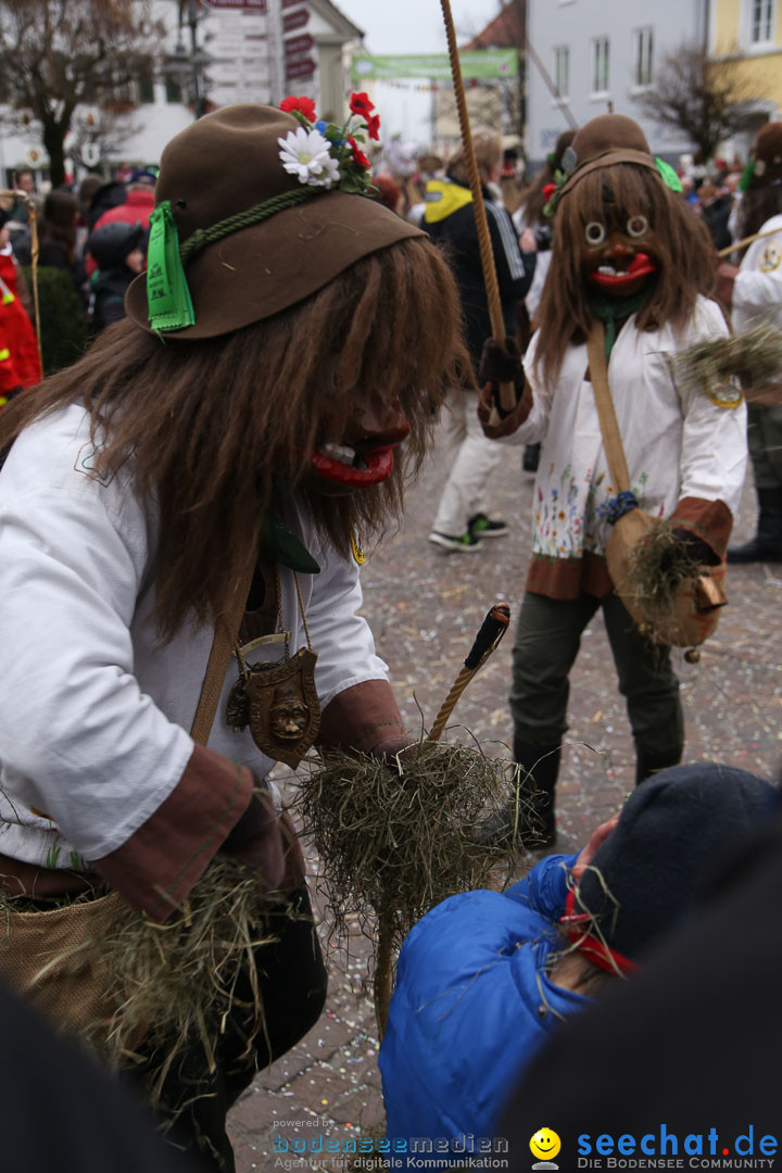 Narrensprung: Langenargen am Bodensee, 19.01.2014