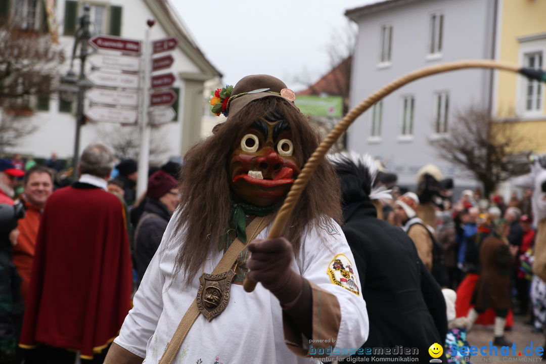 Narrensprung: Langenargen am Bodensee, 19.01.2014