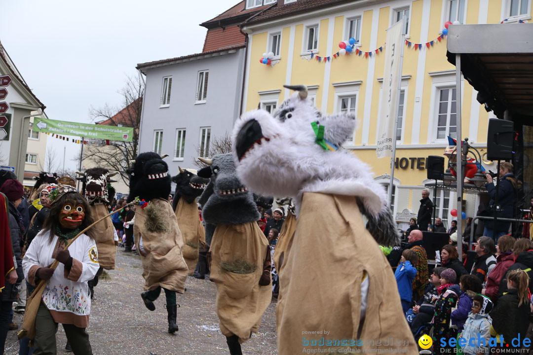 Narrensprung: Langenargen am Bodensee, 19.01.2014