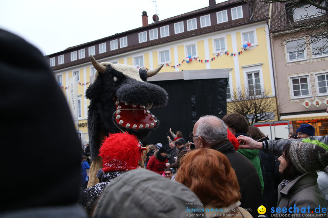 Narrensprung: Langenargen am Bodensee, 19.01.2014