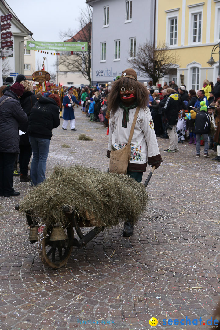 Narrensprung: Langenargen am Bodensee, 19.01.2014