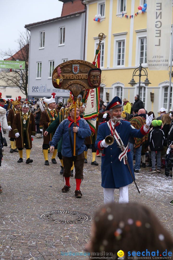 Narrensprung: Langenargen am Bodensee, 19.01.2014