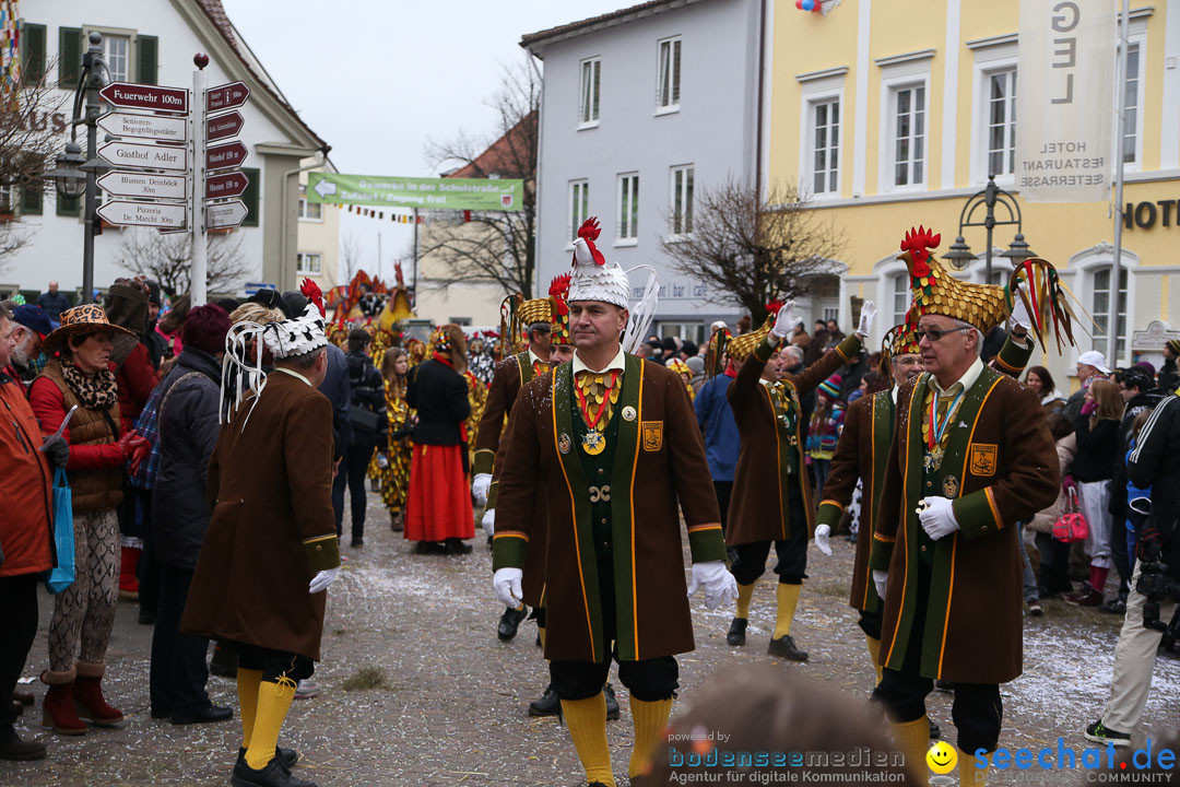 Narrensprung: Langenargen am Bodensee, 19.01.2014