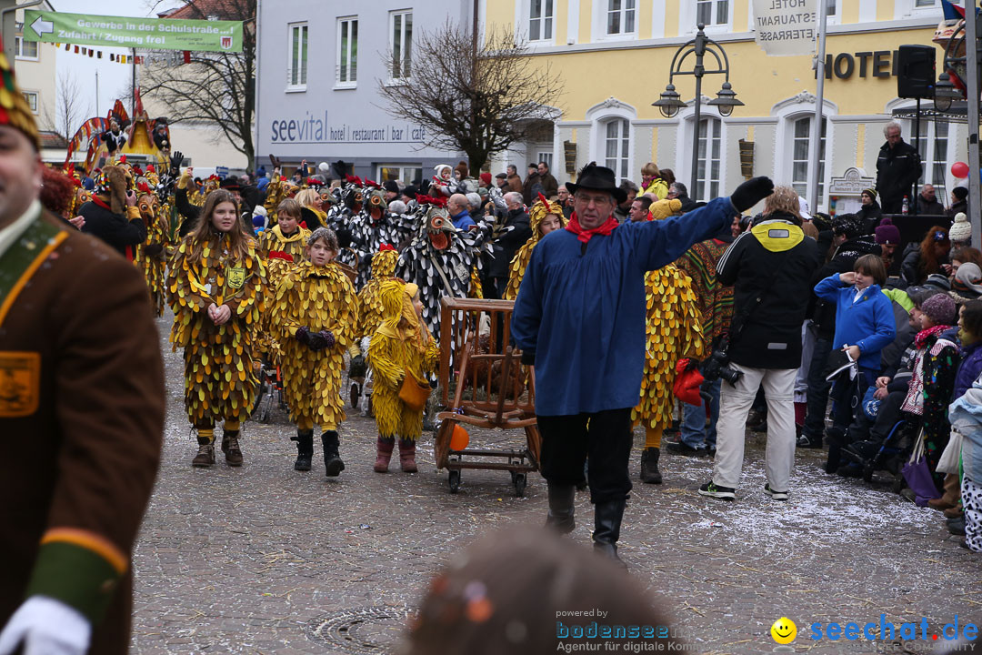 Narrensprung: Langenargen am Bodensee, 19.01.2014