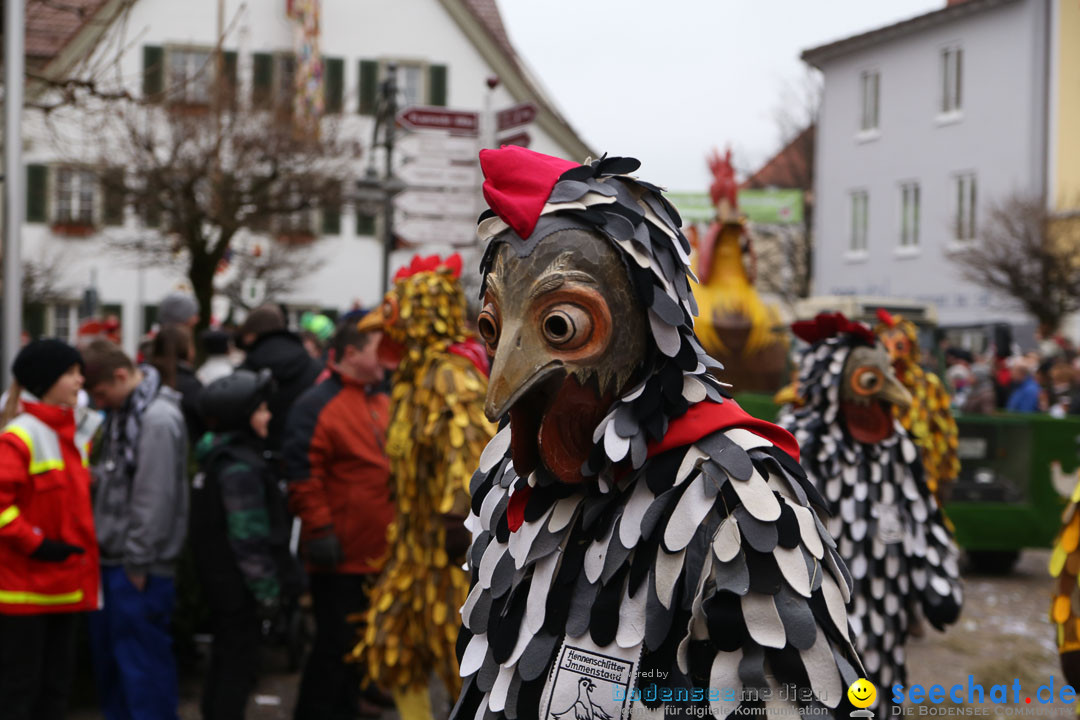 Narrensprung: Langenargen am Bodensee, 19.01.2014