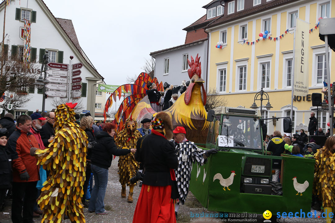 Narrensprung: Langenargen am Bodensee, 19.01.2014