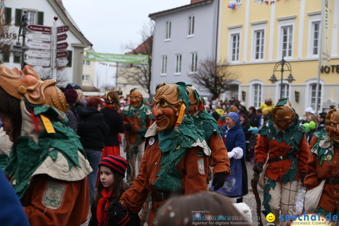 Narrensprung: Langenargen am Bodensee, 19.01.2014