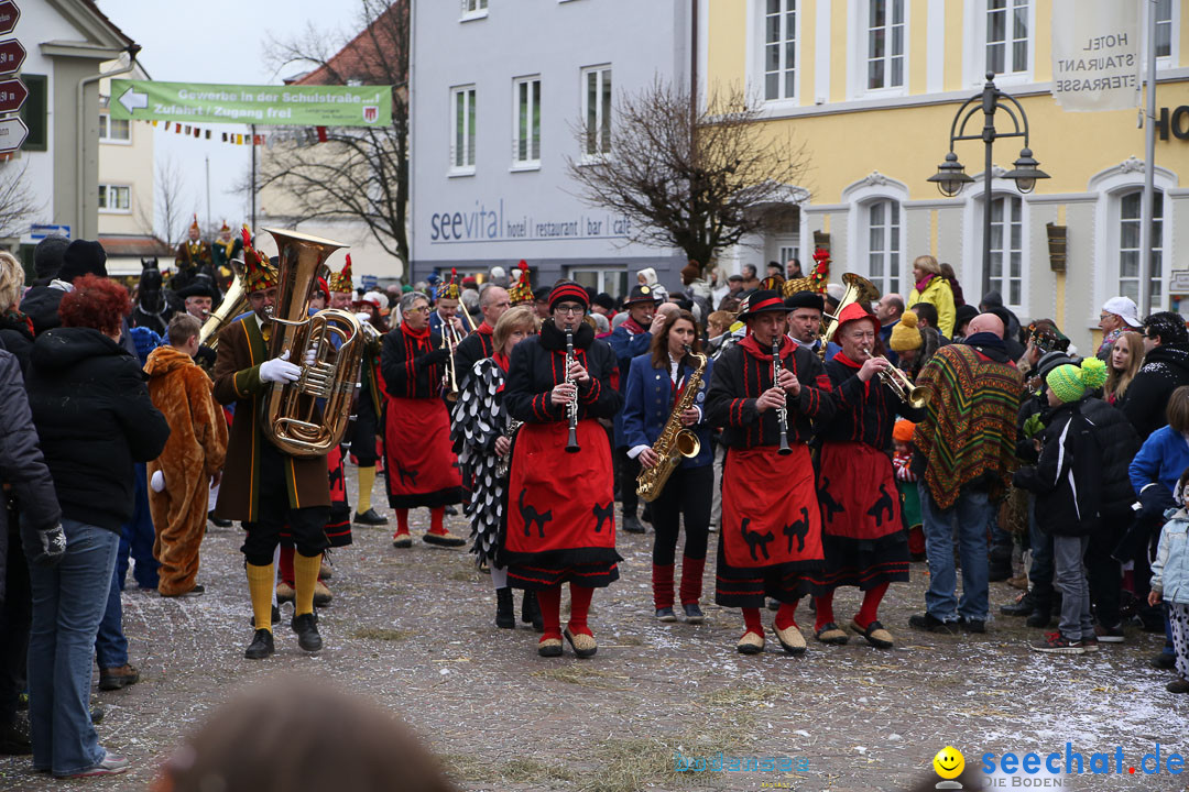 Narrensprung: Langenargen am Bodensee, 19.01.2014