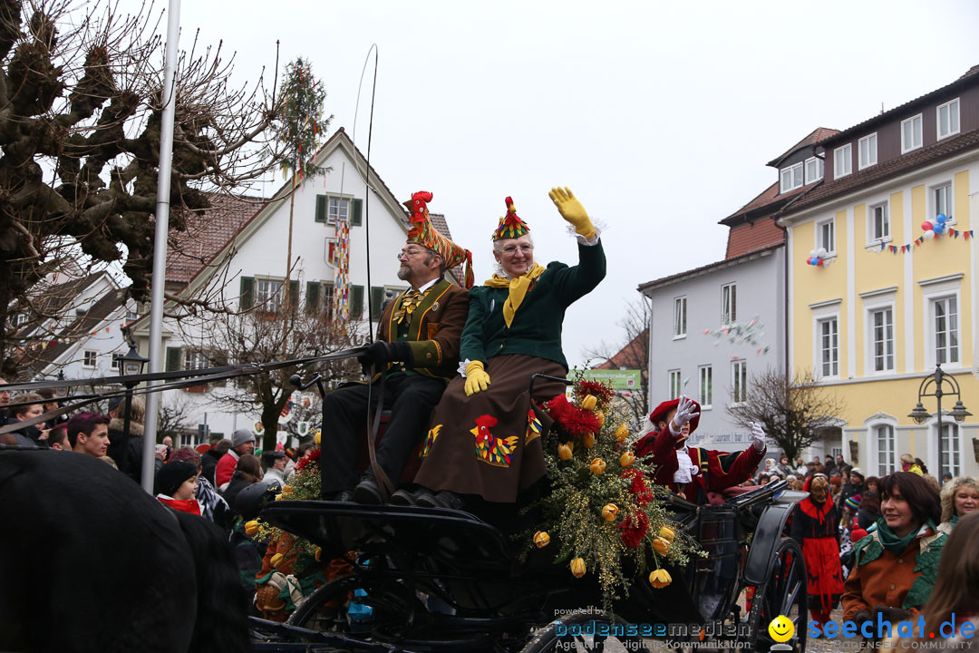 Narrensprung: Langenargen am Bodensee, 19.01.2014