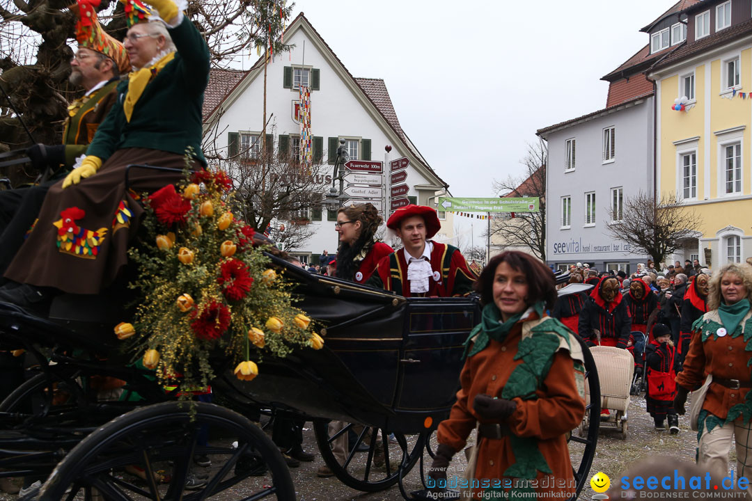 Narrensprung: Langenargen am Bodensee, 19.01.2014