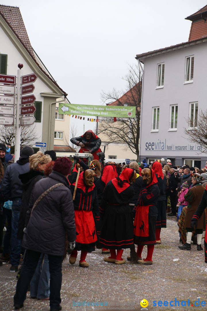 Narrensprung: Langenargen am Bodensee, 19.01.2014