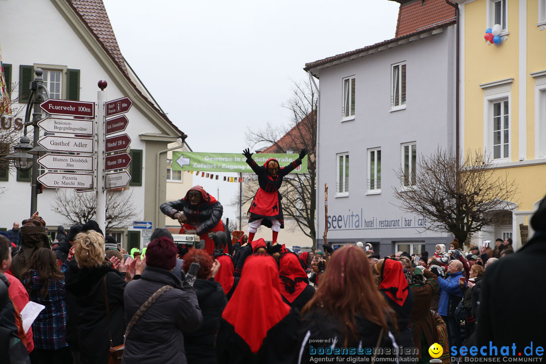 Narrensprung: Langenargen am Bodensee, 19.01.2014