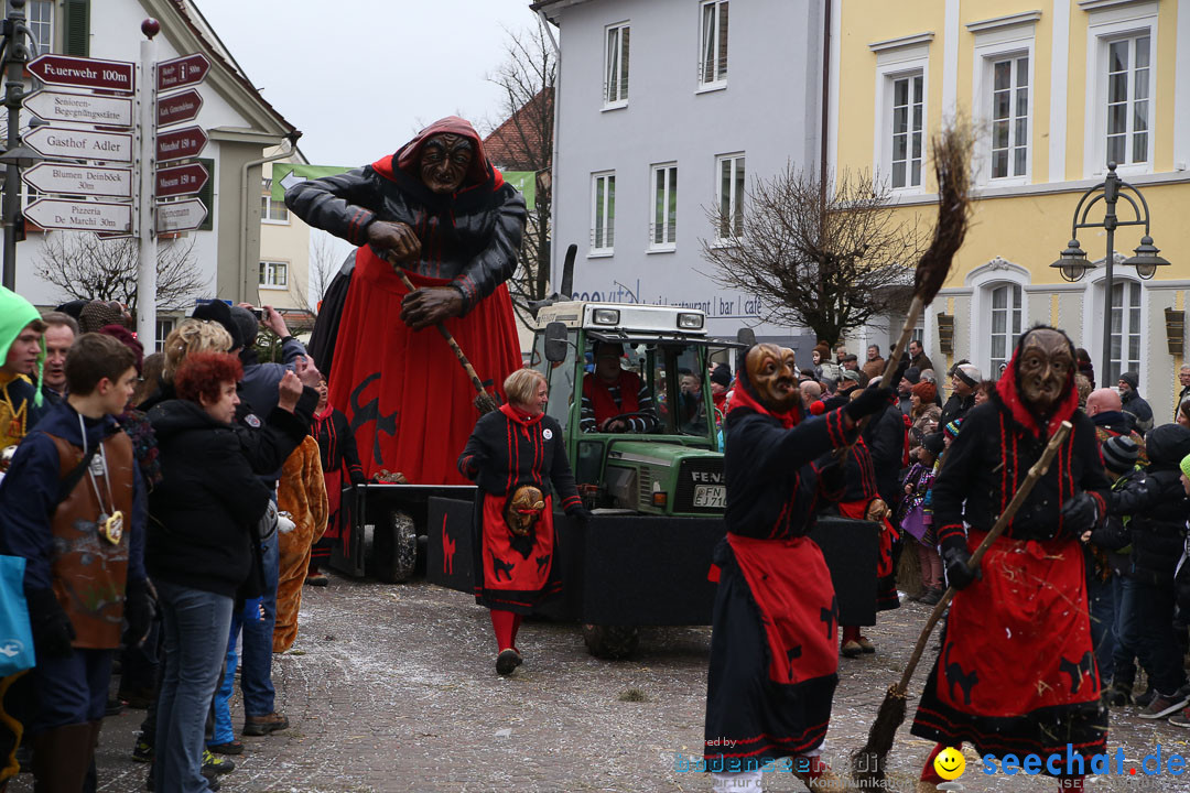 Narrensprung: Langenargen am Bodensee, 19.01.2014