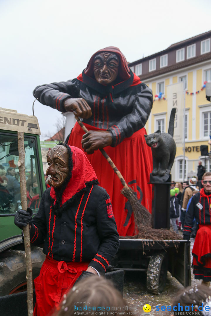 Narrensprung: Langenargen am Bodensee, 19.01.2014