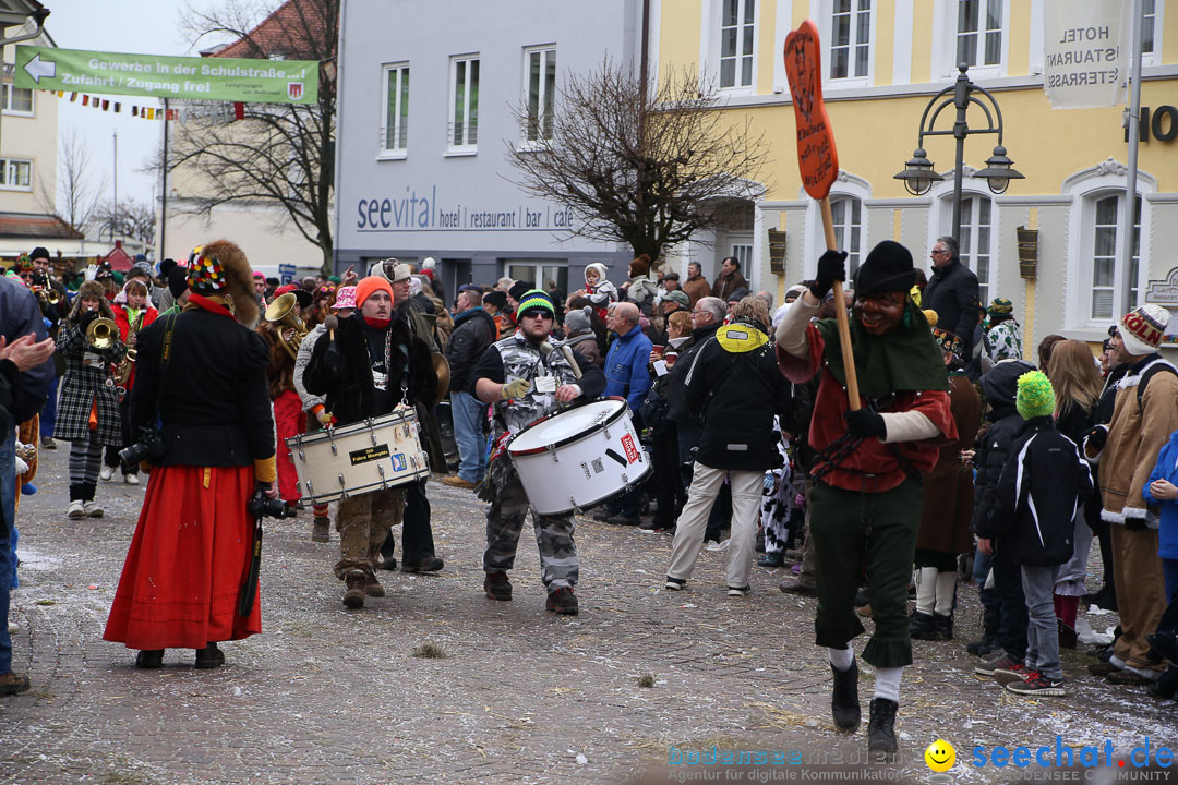 Narrensprung: Langenargen am Bodensee, 19.01.2014