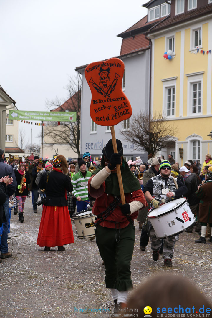 Narrensprung: Langenargen am Bodensee, 19.01.2014