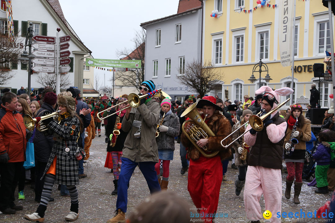 Narrensprung: Langenargen am Bodensee, 19.01.2014