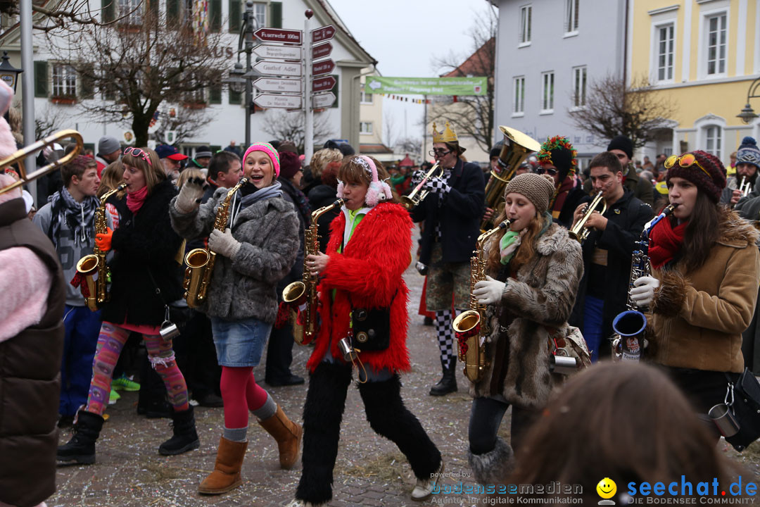 Narrensprung: Langenargen am Bodensee, 19.01.2014