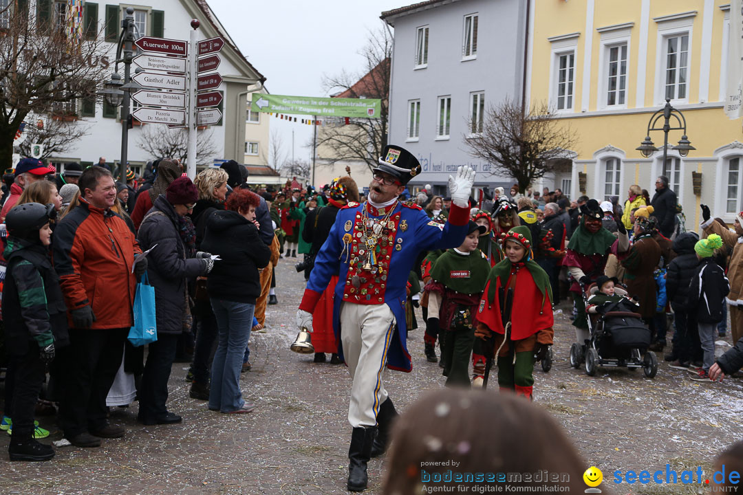 Narrensprung: Langenargen am Bodensee, 19.01.2014