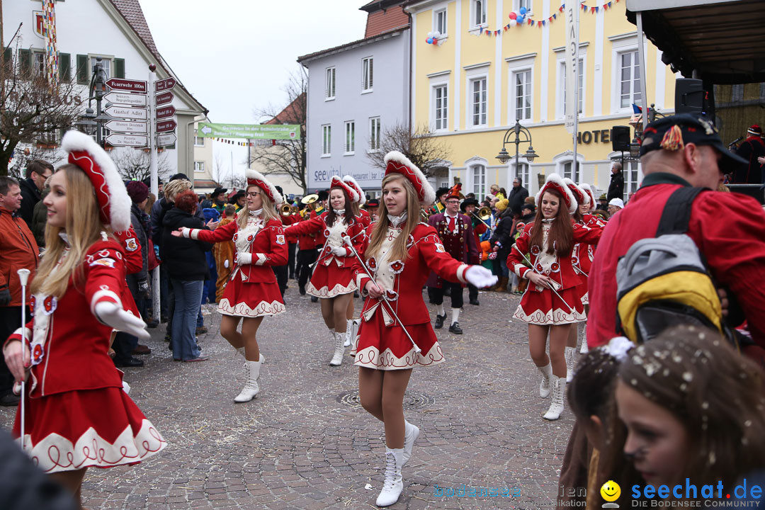 Narrensprung: Langenargen am Bodensee, 19.01.2014