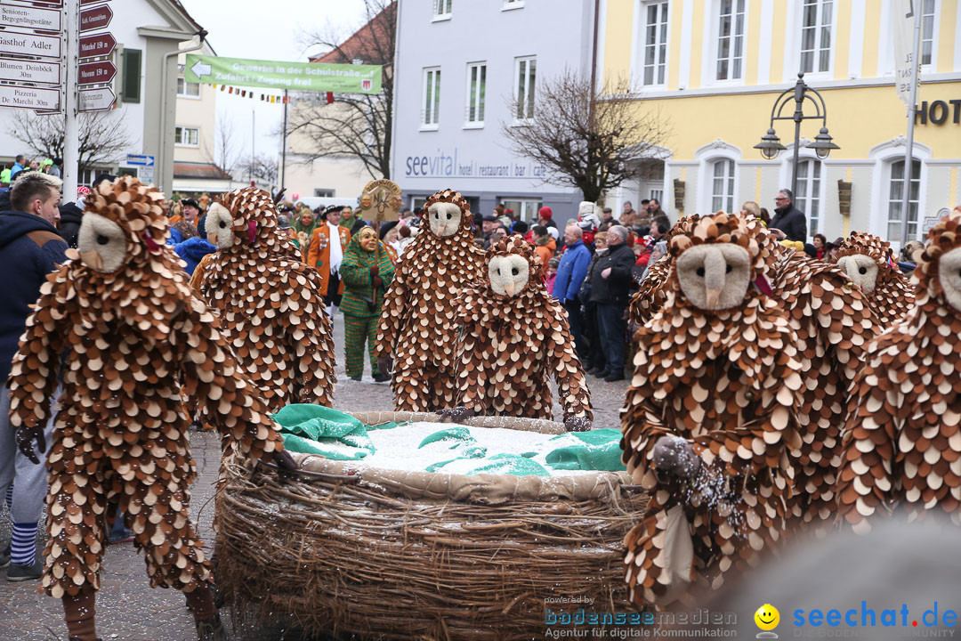 Narrensprung: Langenargen am Bodensee, 19.01.2014