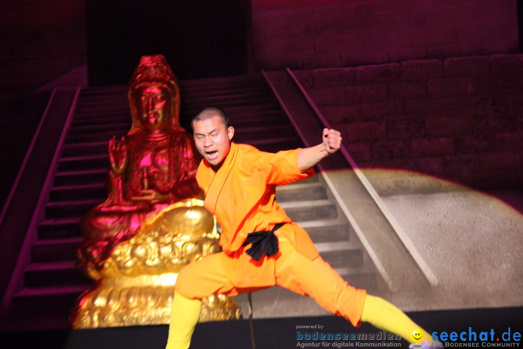 Die Meister des Shaolin Kung Fu: Singen am Bodensee, 21.01.2014