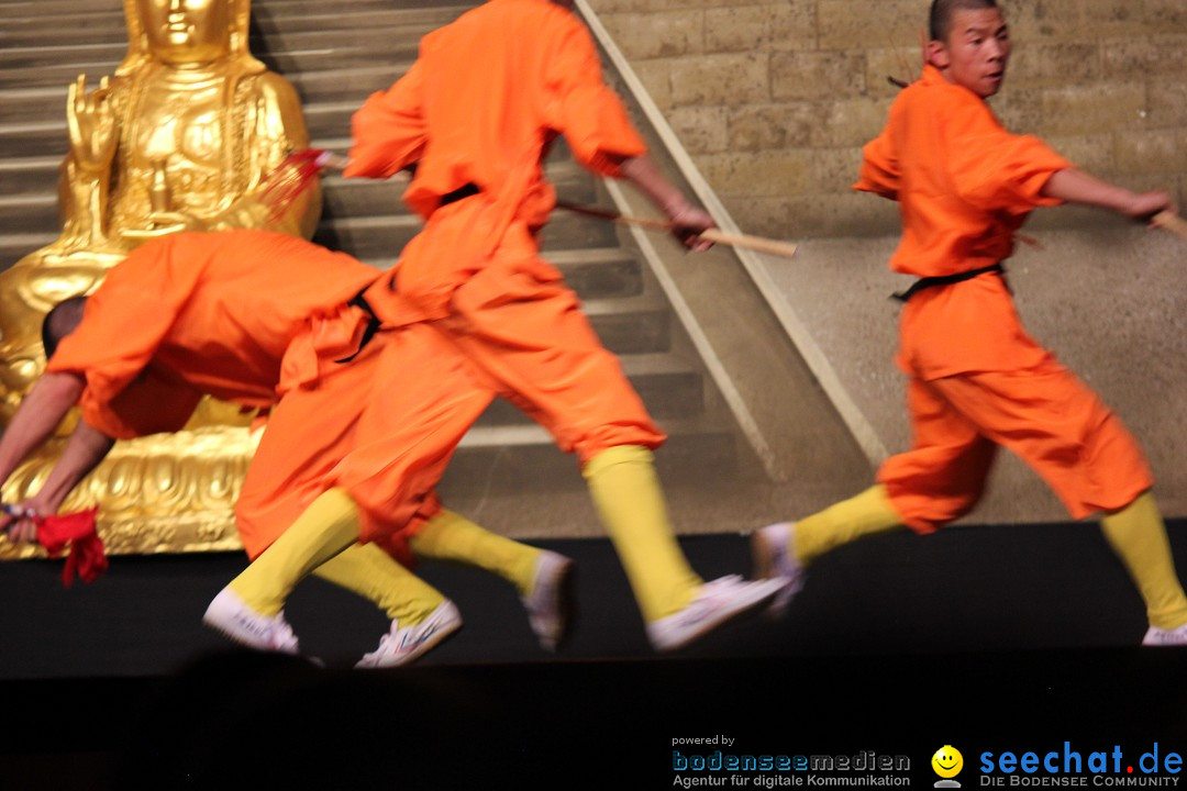 Die Meister des Shaolin Kung Fu: Singen am Bodensee, 21.01.2014