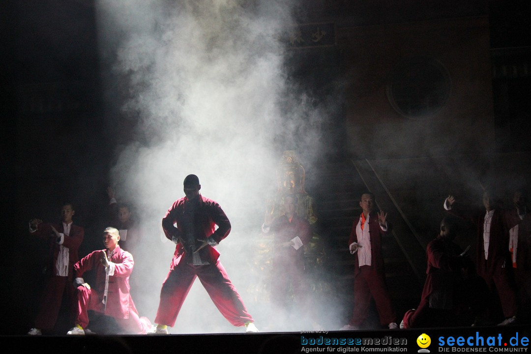 Die Meister des Shaolin Kung Fu: Singen am Bodensee, 21.01.2014