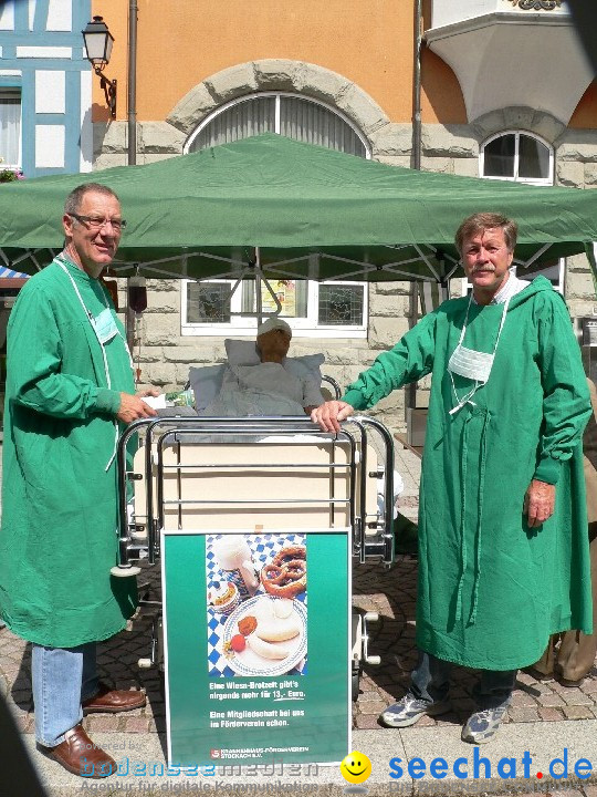 seechat.de-Infostand - Schweizerfeiertag: Stockach, 20.06.2009