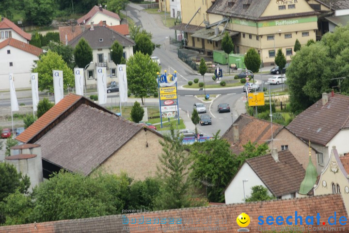 seechat.de-Infostand - Schweizerfeiertag: Stockach, 20.06.2009