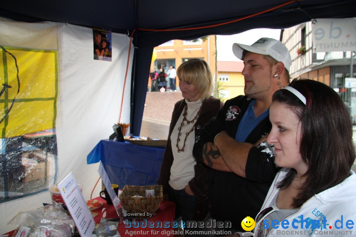 seechat.de-Infostand - Schweizerfeiertag: Stockach, 20.06.2009