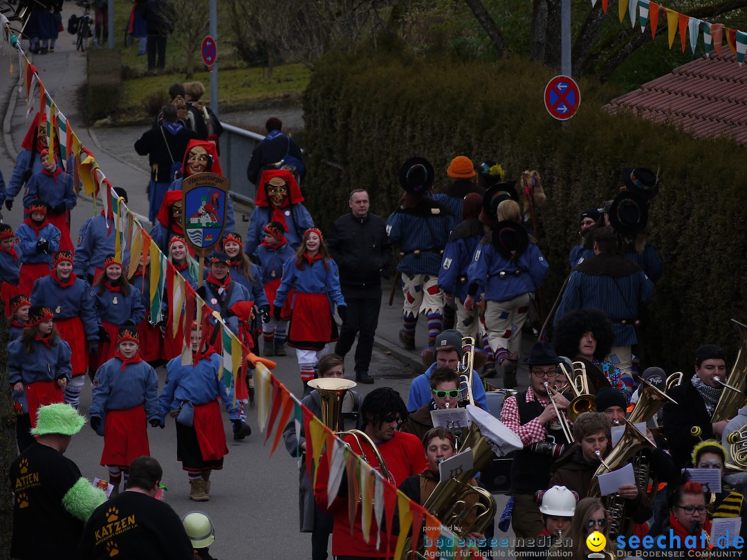 Faschingsumzug: Wasserburg am Bodensee, 08.02.2014