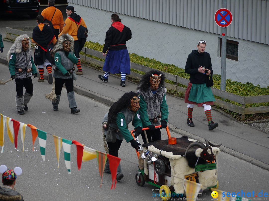 Faschingsumzug: Wasserburg am Bodensee, 08.02.2014