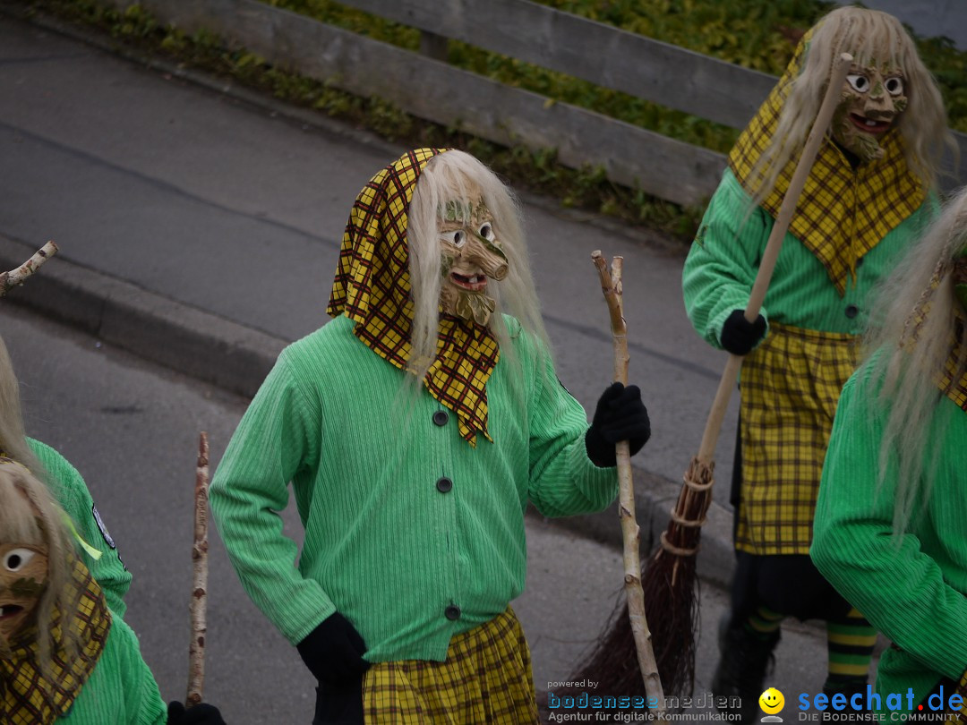 Faschingsumzug: Wasserburg am Bodensee, 08.02.2014