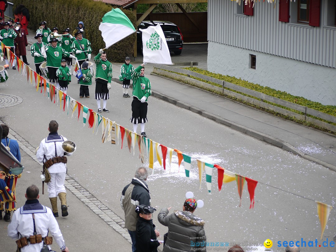 Faschingsumzug: Wasserburg am Bodensee, 08.02.2014