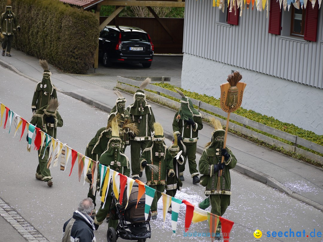 Faschingsumzug: Wasserburg am Bodensee, 08.02.2014